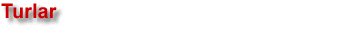 Turlar